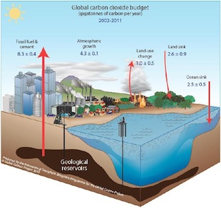 carbon budget