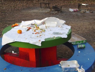 DSC09302
