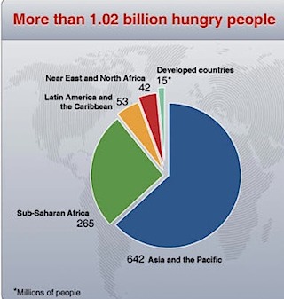 fao_undernourished_2009