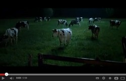 FrieslandCampina