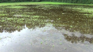 gaasperparkplas copy