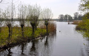 Gaasperplas