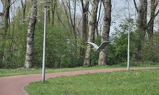 gaasperreiger