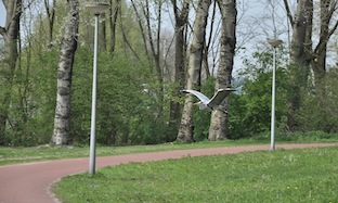 gaasperreiger