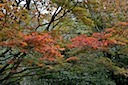 Herfst in het Gaasperpark