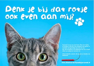 kat+vuurwerk