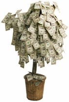 moneytree