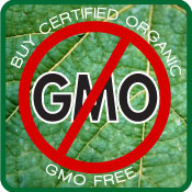 no_gmo_foods