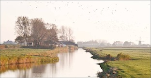 noordhollandslandschap