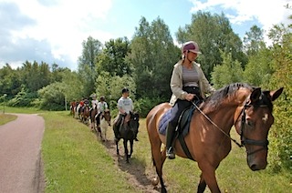 Paarden1