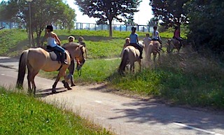 Paardenpad Oranjebos