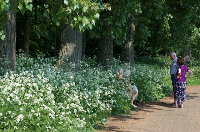 park