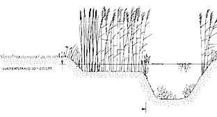 plasberm