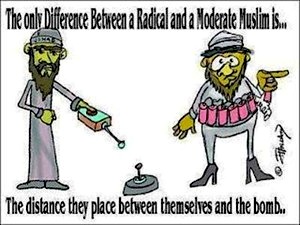 radical and moderate