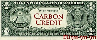 real-fake-carbon-credit