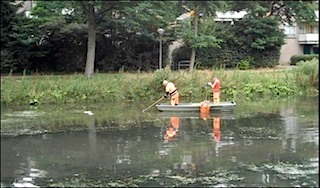 schoonmaak
