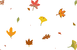 th_leaves
