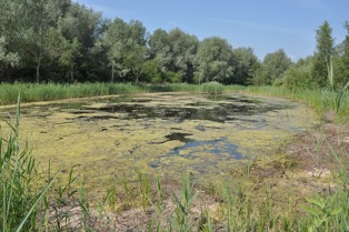 vennetje
