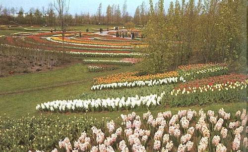 Amsterdam-Gaasperplaspark-floriade-41