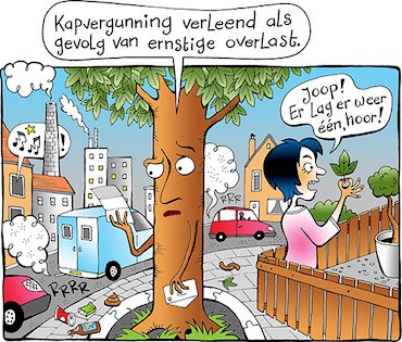 Bomen-overlast