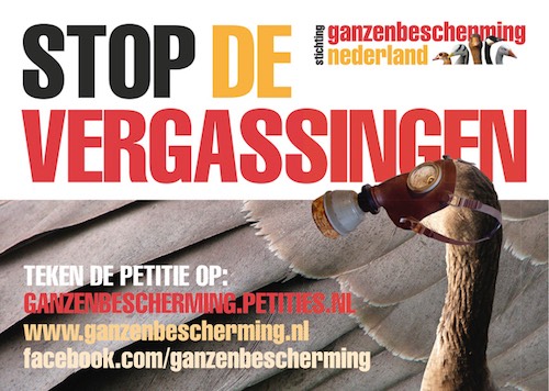 stop vergassingen