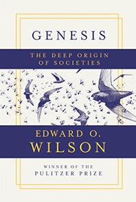 Genesis Wilson