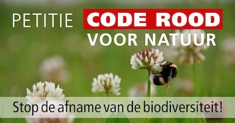 code-rood