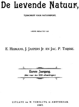 DLN 1