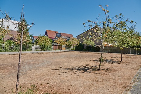 DSC00101