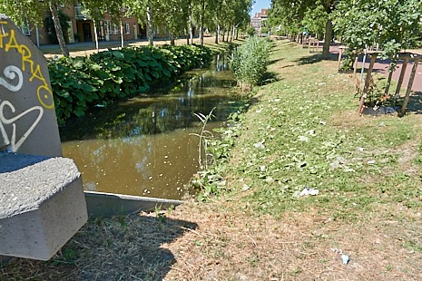 DSC00104