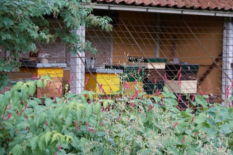 DSC00439