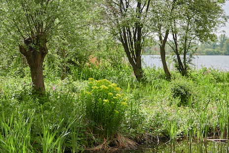 DSC03450