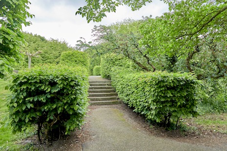 DSC04111