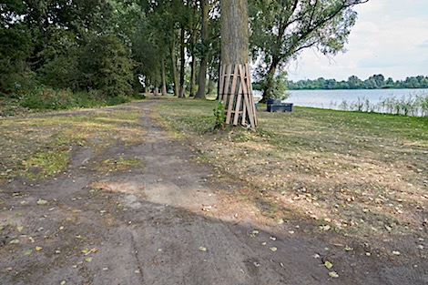 DSC07002