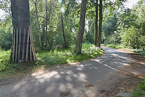 DSC07206