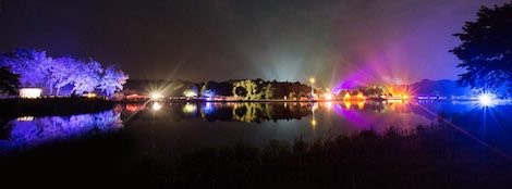 festivals night