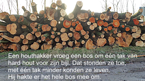 Het bos en de houthakker