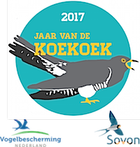 koekoek2017