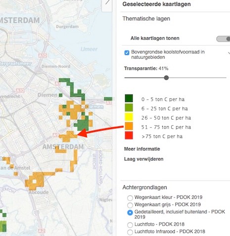Koolstofvoorraad