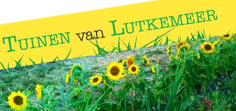 Lutkemeer