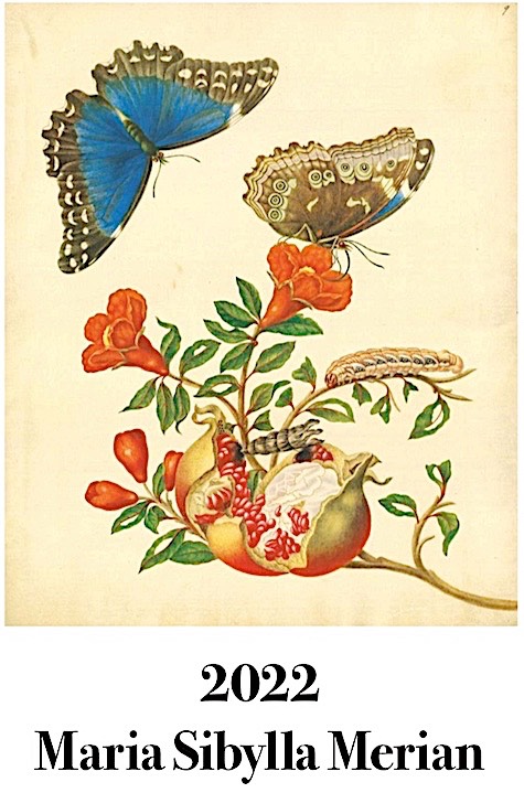 Merian kalender