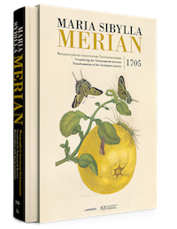 merian