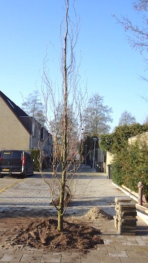 piramidebeuk