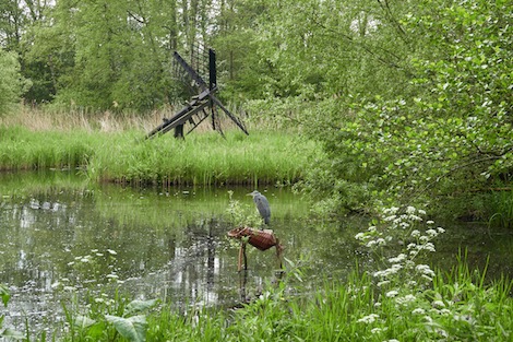 rietkraag