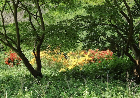 screenshot 110