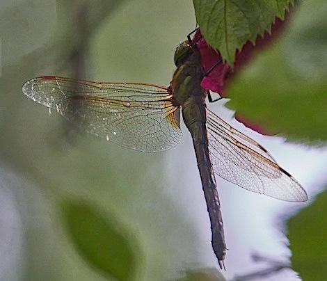 screenshot 1204
