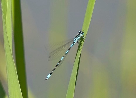 screenshot 127