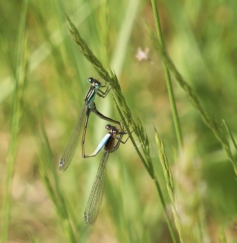 screenshot 128