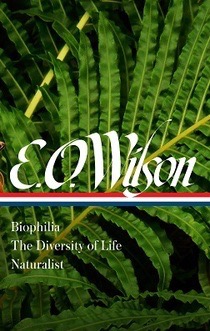 Wilson LoA