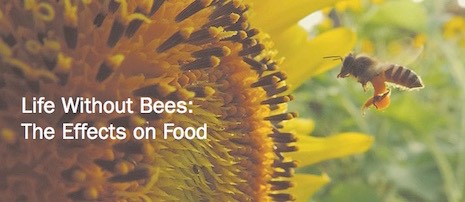 without bees